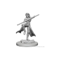 D&D Nolzur's Marvelous Minis: Human Monk (Female) - Image 2