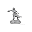 D&D Nolzur's Marvelous Minis: Human Monk (Female) - Image 3