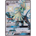 Silvally GX (SHINY VAULT) : SUN AND MOON - HIDDEN FATES SV79/SV94 - Pokemon Single Card