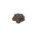 Renaissance Coin: Medium (12 Coins) Pack