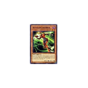 Yu-Gi-Oh! Card GAOV-EN029 Inzektor Ladybug (Common) | Chaos Cards