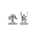 D&D Nolzur's Marvelous Minis: Mini Elf Wizard (Male)
