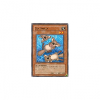 Sea Koala (Common) : PTDN-EN037 - Yu-Gi-Oh! Single Card