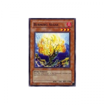 Burning Algae (Common) : DR2-EN063 - Yu-Gi-Oh! Single Card