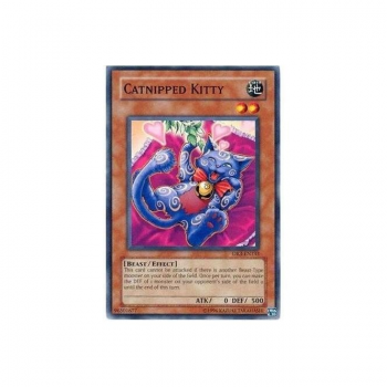 Catnipped Kitty (Common) : FET-EN013 - Yu-Gi-Oh! Single Card