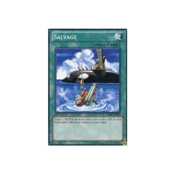Salvage (Common) : DR2-EN097 - Yu-Gi-Oh! Single Card