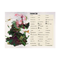 Dungeons & Dragons: Dungeon of the Mad Mage - Dungeon Keepers Screen - Image 4