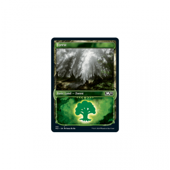 Forest (Showcase Frame) : MAGIC 2021 313 - Magic the Gathering Single Card