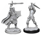 D&D Nolzur's Marvelous Minis: Male Human Paladin - Image 2