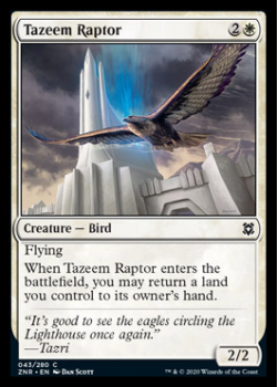 Tazeem Raptor : ZENDIKAR RISING 043/280 - Magic the Gathering Single Card