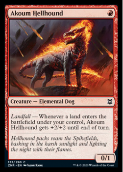Akoum Hellhound : ZENDIKAR RISING 133/280 - Magic the Gathering Single Card