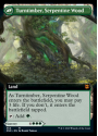 Turntimber Symbiosis / Turntimber, Serpentine Wood (BORDERLESS) : ZENDIKAR RISING 364 - Magic the Gathering Single Card - Image 2