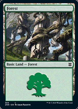 Forest Zendikar Rising 384 Magic The Gathering Single Card
