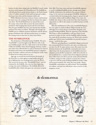 Humblewood RPG: Campaign Setting Book - Image 3