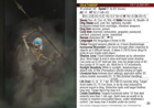 Deck of Beasts: Challenging Creatures - Image 4