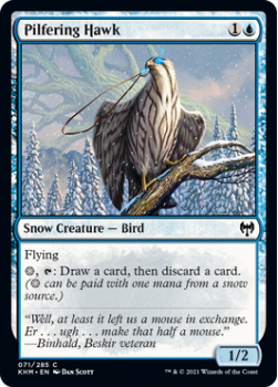 Pilfering Hawk - KALDHEIM - 071/285 - Magic the Gathering Single Card