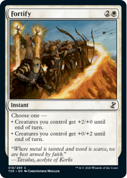 Fortify - TIME SPIRAL REMASTERED - 018/289 - Magic the Gathering Single Card