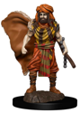 D&D Icons of the Realms Premium Figures - Human Druid Male - Image 2