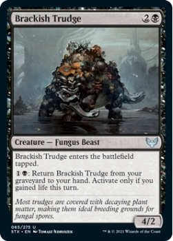 Brackish Trudge - STRIXHAVEN: SCHOOL OF MAGES - 065/275 - Magic the Gathering Single Card