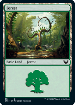 Forest (FOIL) - STRIXHAVEN: SCHOOL OF MAGES - 374 - Magic the Gathering Single Card