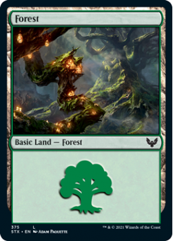 Forest (FOIL) - STRIXHAVEN: SCHOOL OF MAGES - 375 - Magic the Gathering Single Card
