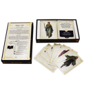 Deck of Stories: Genesis Box - Image 2