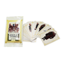 Deck of Stories: NPC 2 Booster