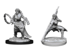 D&D Nolzur's Marvelous Unpainted Miniatures: Human Monk Female - Image 2