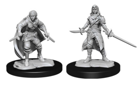 D&D Nolzur's Marvelous Unpainted Miniatures: Half-Elf Rogue Female - Image 2
