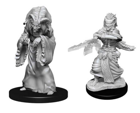 D&D Nolzur's Marvelous Unpainted Miniatures: Night Hag & Dusk Hag - Image 2