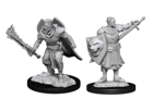 Pathfinder Battles Deepcuts Unpainted Miniatures Human Champion Male - Image 2