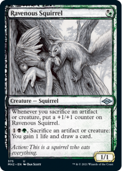 Ravenous Squirrel (Sketch) (FOIL) - MODERN HORIZONS 2 - 375 - Magic the Gathering Single Card