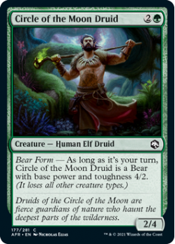 Circle of the Moon Druid - ADVENTURES IN THE FORGOTTEN REALMS - 177/281 - Magic the Gathering Single Card