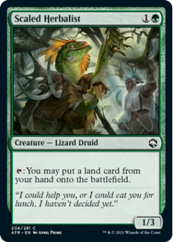 Scaled Herbalist - ADVENTURES IN THE FORGOTTEN REALMS - 204/281 - Magic the Gathering Single Card