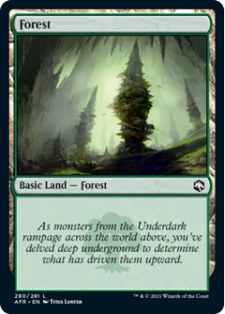 Forest (FOIL) - ADVENTURES IN THE FORGOTTEN REALMS - 280/281 - Magic the Gathering Single Card