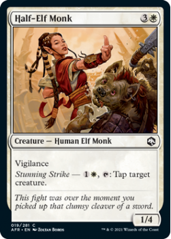 Half-Elf Monk (FOIL) - ADVENTURES IN THE FORGOTTEN REALMS - 019/281 - Magic the Gathering Single Card