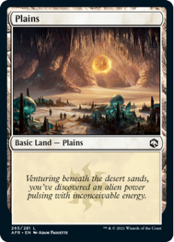 Plains - ADVENTURES IN THE FORGOTTEN REALMS - 265/281 - Magic the Gathering Single Card