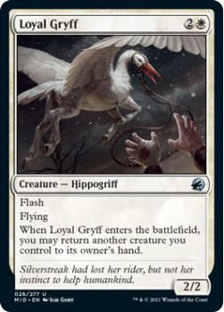 Loyal Gryff (FOIL) : INNISTRAD MIDNIGHT HUNT 026/277 - Magic the Gathering Single Card