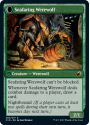 Suspicious Stowaway // Seafaring Werewolf (FOIL) : INNISTRAD MIDNIGHT HUNT 080/277 - Magic the Gathering Single Card - Image 2