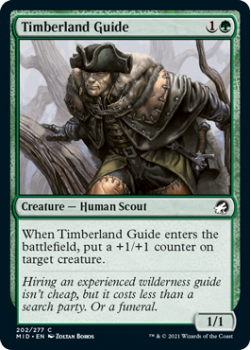 Timberland Guide (FOIL) : INNISTRAD MIDNIGHT HUNT 202/277 - Magic the Gathering Single Card