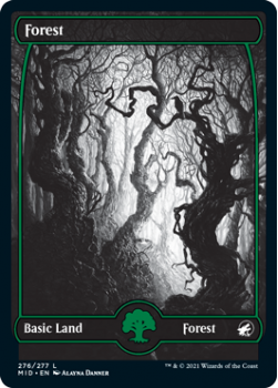 Forest (FOIL) : INNISTRAD MIDNIGHT HUNT 276/277 - Magic the Gathering Single Card