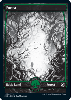 Forest (FOIL) : INNISTRAD MIDNIGHT HUNT 277/277 - Magic the Gathering Single Card