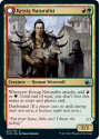 Kessig Naturalist // Lord of the Ulvenwald (FOIL) : INNISTRAD MIDNIGHT HUNT 231/277 - Magic the Gathering Single Card
