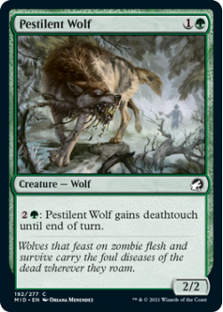 Pestilent Wolf : INNISTRAD MIDNIGHT HUNT 192/277 - Magic the Gathering Single Card