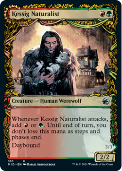 Kessig Naturalist // Lord of the Ulvenwald (Showcase) (FOIL) : INNISTRAD MIDNIGHT HUNT 310 - Magic the Gathering Single Card