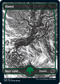Forest : 276/277 INNISTRAD CRIMSON VOW - Magic the Gathering Single Card