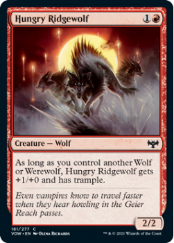 Hungry Ridgewolf (FOIL) : 161/277 INNISTRAD CRIMSON VOW - Magic the Gathering Single Card