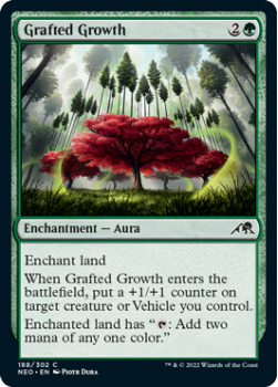 Grafted Growth : 188/302 KAMIGAWA NEON DYNASTY - Magic the Gathering Single Card