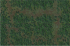 Dungeons & Dragons: Icons of the Realm - Forest Battle Mat