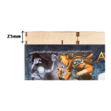 The Broken Token : Aeon's End Organizer - Image 12